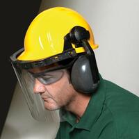 SF60-ERB14373 E14 Face Shield, Ear Muff System for Omega II, Americana, Independence & Liberty Caps.