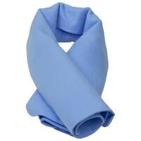 SF60-ERB21560 C300 Coolerz PVA Evaporative Cooling Towel, Blue.  Each towel packaged in a reusable container.