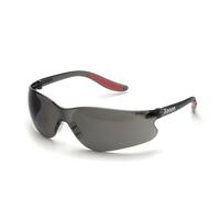 Xenon Gray AF/PC Lens, Black Temples/Red Tips.