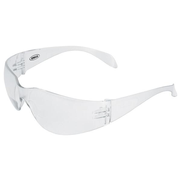 SF10-ERB17987 IProtect Clear lens +1.0 Reader.