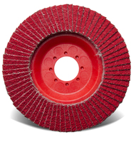 AB050-C42955 Flap Disc 5x7/8 C3-80Gmable Cer